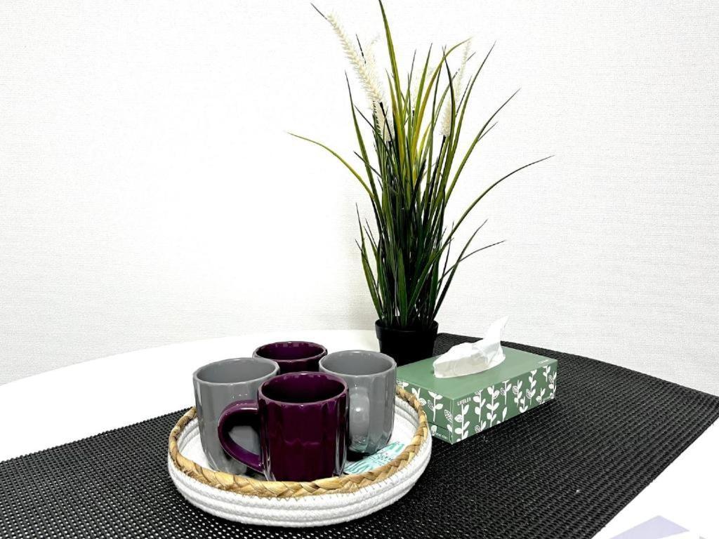 池袋電車2分 2rooms Homestay Tokyo